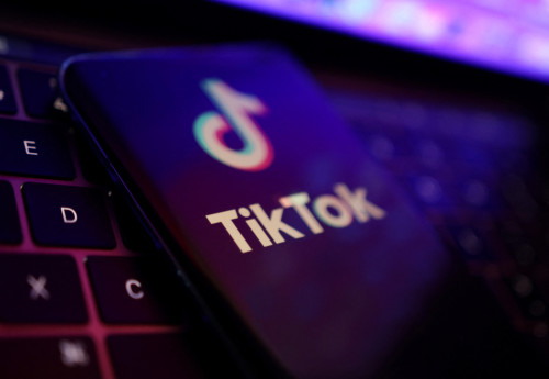 Free-speech advocates tell Supreme Court US TikTok law reminiscent of dictatorships