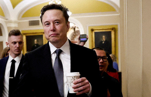 Explainer – Is Elon Musk’s government efficiency drive legal?