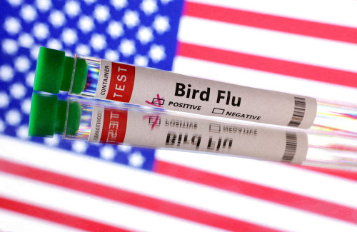 Nevada confirms state’s first human case of bird flu in a dairy worker